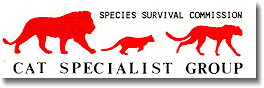 CSG logo